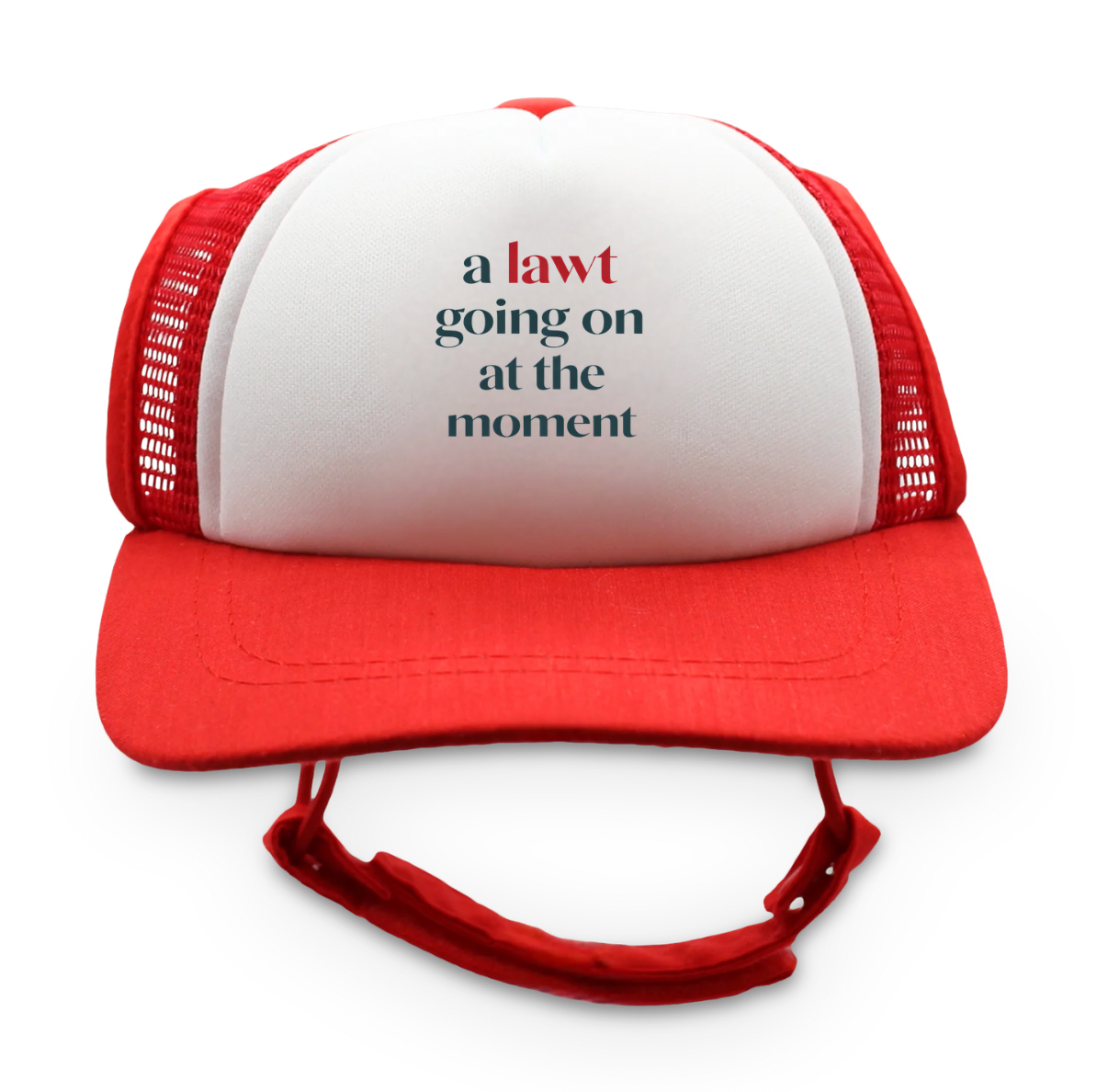 Doggie Trucker Hat — "a lawt going on at the moment" Foam Cap